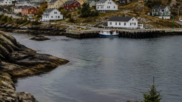 Portugal Cove-St. Philip’s: Clarifying Recent Death and Safety Measures | togel hongkon hari ini ter