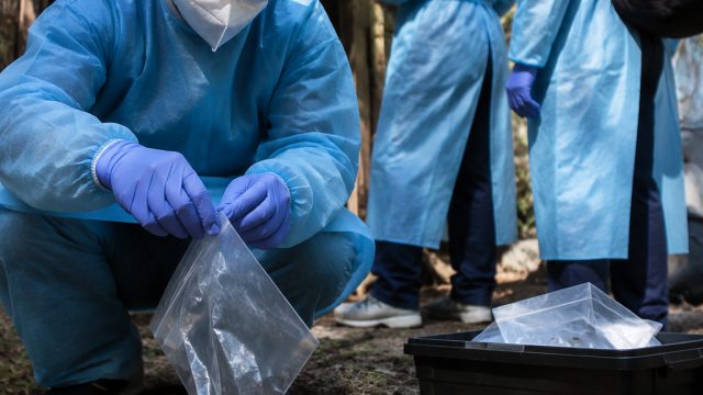 CDC Concludes Hantavirus Outbreak Response Amid Public Health Concerns | one fine day seventeen japa