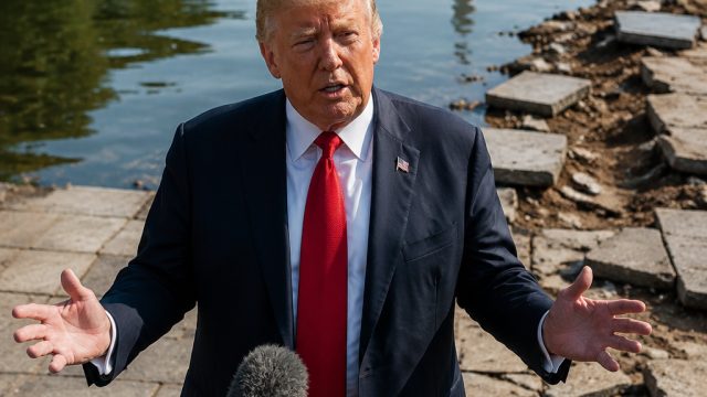 Trump Addresses Controversy Surrounding Reflecting Pool Damage